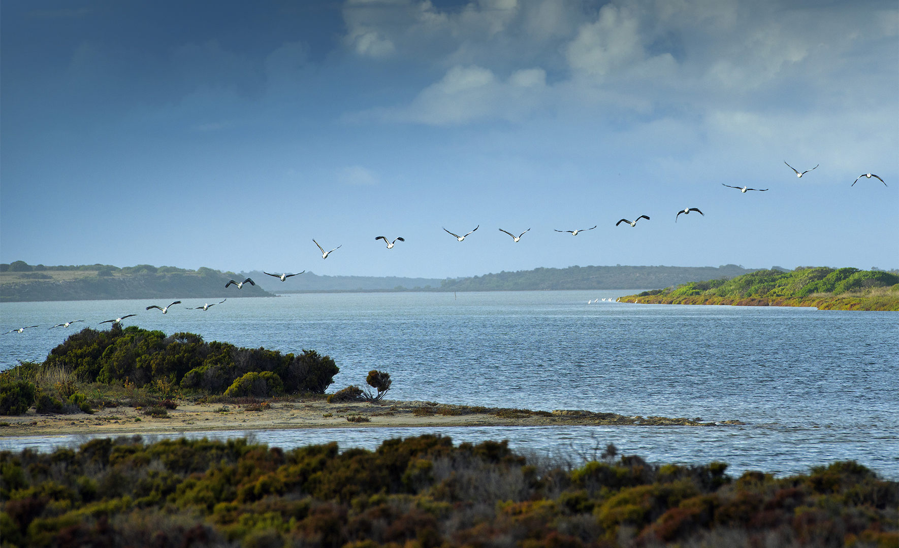 Pandalapi- Coorong Channel