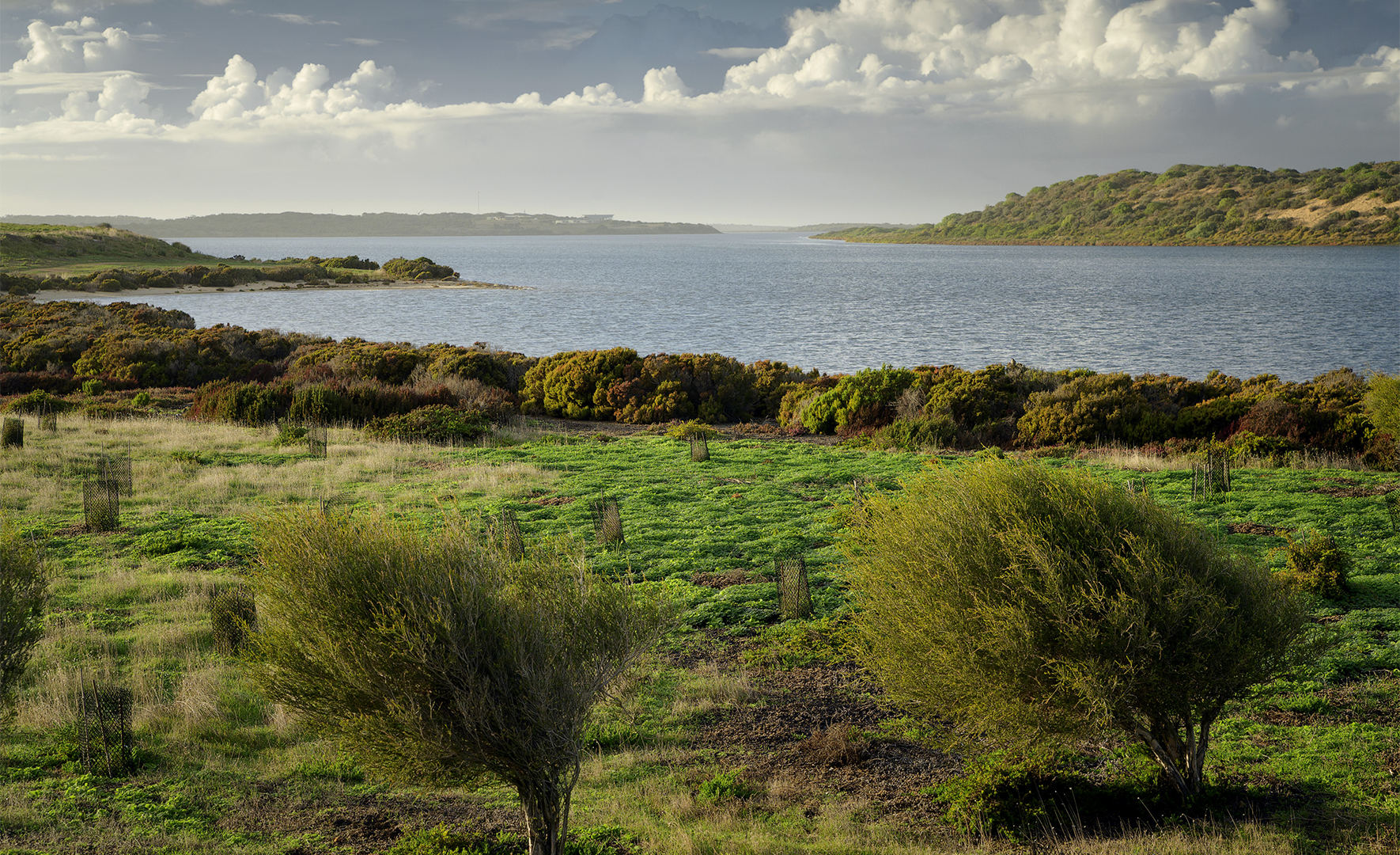 Paringari - seaward shore of Coorong